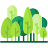 Avenue Trees