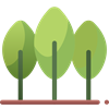 Leisure Walking Track